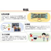 Dahua Technology 400万画素 広角固定レンズ バレット型IPカメラ DH-IPC-HFW3441TN-AS-P 1台（直送品）