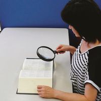 コンテック KONTEC 虫めがね 大 ブラウン LP-02B 1個 574-3127（直送品）