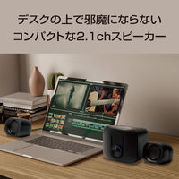ナカバヤシ コンパクトUSBスピーカー　2.1Ch　ブラック USPー04BK 1個