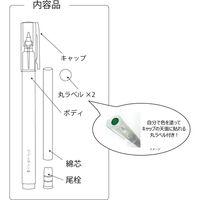 呉竹 からっぽペン ほそふで芯 硬筆・極細タイプ ECF160-402 1本