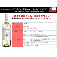 チリ ダンシングフレイム ソーヴィニョンブラン 白ワイン 辛口 750ml 1セット(1本×2) 三菱食品
