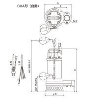 寺田ポンプ製作所 水中ポンプ CXA-250T 60HZ 1台（直送品）