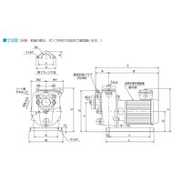 寺田ポンプ製作所 陸上ポンプ(鋳鉄製) MP4N-0071R 60HZ 1台（直送品）
