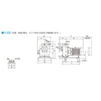 寺田ポンプ製作所 陸上ポンプ(鋳鉄製) MPJ4-52.21E 1台（直送品）