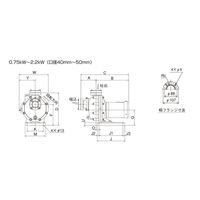 寺田ポンプ製作所 陸上ポンプ(樹脂製) CMP4-61.5E 1台（直送品）