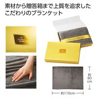 内海産業 プレミアムブランケット(グレー) 2373841 1個（直送品）