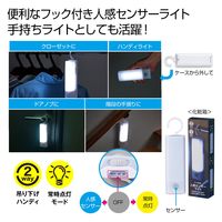 内海産業 フック付き人感センサーライト 2375271 1個（直送品）