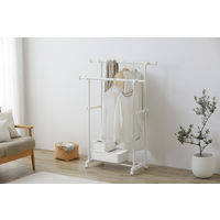 アイリスオーヤマ パイプハンガー ハンガーラック　ダブル　ホワイト　幅810～1265×高さ895～1500mm　PIーE280S 1台