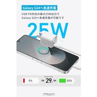 Anker Charger （25W） A2656121 1個