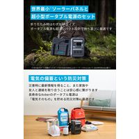 Anker Solix C300 Portable Power Station B17225Z1 1個