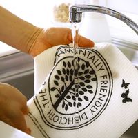 イーオクト スポンジワイプ エコフレンドリー水切りBK/WH 350048 1個