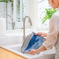 イーオクト スポンジワイプ kata kata くじら　水切り 339868 1個