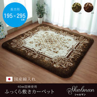 イケヒコ・コーポレーション シャルマン こたつ敷 グリーン 195×295cm 1161691125309 1個（直送品）