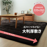 イケヒコ 大判ドーク こたつ敷 ブラウン 220×260cm 1161710066213 1個（直送品）