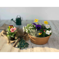 八幡化成 プランター エコプランター浅型 直径30cm 木粉入り ナチュラル 413237 1個（直送品）