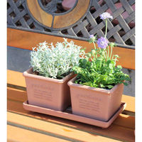 八幡化成 植木鉢 エコポット角型 木粉入り 幅12cm 素焼き 413273 1個（直送品）