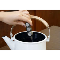 池永鉄工 鉄玉 南部鉄 鉄団子 440125 1個（直送品）