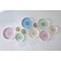 ナカジマ プレート 22cm M MUSUBI ぼかし ピンク 450389 1個（直送品）