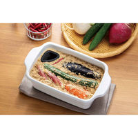 高木金属工業 漬物容器 2L ホーローぬか漬け日和 451045 1個（直送品）