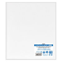 エコデリパック 24-21 白無地 1箱（2000枚：100枚入×20袋）