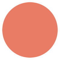 プリジェル カラーEX クランベリームース PGーCE979 3g 146915 1個（直送品）