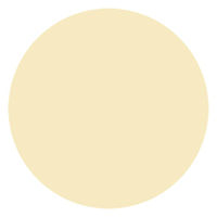 プリジェル カラーEX レモンシャンティ PGーCE982 3g 146920 1個（直送品）