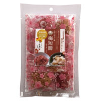 【アウトレット】塩分商材 塩分補給 おやつ 個包装 やわらか干し梅梅短冊 40ｇ 1セット（1個×6） 長生き屋商店