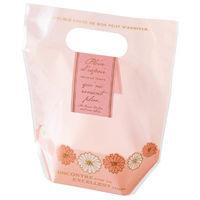 ヘッズ シェリーデイジーＰＰスタンドバッグー２（３０枚） DSY-OSB2 1袋(30枚)