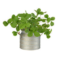 【園芸用品】Do LABO ブリキポット ミルク16 42986 1個