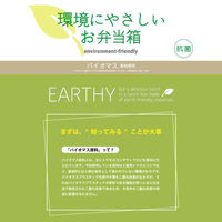 弁当容器 EARTHY コンテナランチボックス(仕切付) CNT-450 ミントグリーン 00417180 1ケース(30個(5個×6))（直送品）
