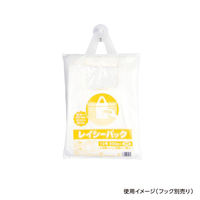 大阪和田化学工業 平袋(青果) レイシーパック 10号 新 00622122 1ケース(6000個(500個×12))（直送品）