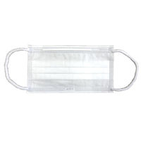 川西工業 使い捨てマスク 7133 プレミアム三層マスク 50枚 00678438 1ケース(40個)（直送品）