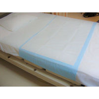 ベストプロダクツ 介護用シーツ 衛生消臭アンダーシーツ巻き込みタイプ 10枚入り 00750126 1ケース(10個)（直送品）