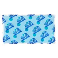 三重化学工業 ケア商品 スノーパック・クール L 00763654 1ケース(5個)（直送品）