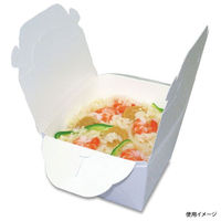京王 カレー容器 FT-M (白無地) 30921531070 1ケース(500個(50個×10))（直送品）