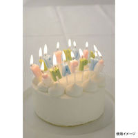 カメヤマ 贈答用飾り ハッピーバースデーキャンドルギフト B5534-00-00 1ケース(40個(10個×4))（直送品）