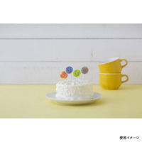 カメヤマ 贈答用飾り ペロペロキャンディキャンドル B5638-00-00 1ケース(80個(10個×8))（直送品）