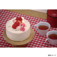 カメヤマ 贈答用飾り ナンバーキャンドルパステル 2番 B7501-07-02RS 1ケース(120個(10個×12))（直送品）