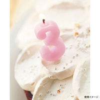 カメヤマ 贈答用飾り ナンバーキャンドルパステル 3番 B7501-07-03LP 1ケース(120個(10個×12))（直送品）