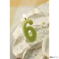 カメヤマ 贈答用飾り ナンバーキャンドルパステル 6番 B7501-07-06LG 1ケース(120個(10個×12))（直送品）