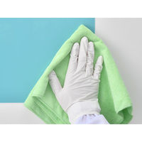 エクシール ダスター DCクロス DC-C2 1点（直送品）