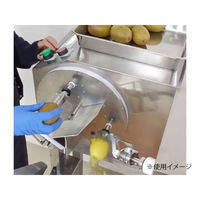 アストラ スライサー FAP-1001 匠助 1点（直送品）