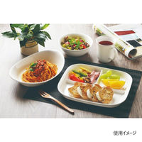 パール金属 メラミン食器 あつかいやすい仕切付スクエアプレート(ホワイト) K-6388 1ケース(5個)（直送品）