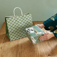 パックタケヤマ 紙手提袋 自動手提袋 HV68 平安 グリーン XZT00921 1ケース(200個(50個×4))（直送品）