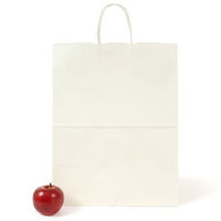 パックタケヤマ 紙手提袋 自動手提袋 HV80 晒 無地 XZT00932 1ケース(200個(50個×4))（直送品）