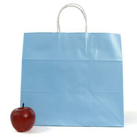 パックタケヤマ 紙手提袋 自動手提袋 HV75 クリスタル ブルー XZT00940 1ケース(200個(50個×4))（直送品）