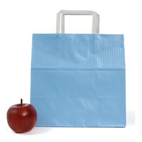 パックタケヤマ 紙手提袋 平紐手提袋 H平26 クリスタル ブルー XZT01018 1ケース(200個(50個×4))（直送品）