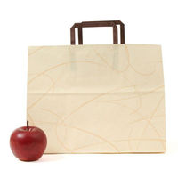 パックタケヤマ 紙手提袋 平紐手提袋 H平32 ゆうび ベージュ XZT60005 1ケース(200個(50個×4))（直送品）