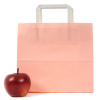 パックタケヤマ 紙手提袋 平紐手提袋 H平24 ピンク XZTT1003 1ケース(200個(50個×4))（直送品）
