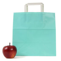 パックタケヤマ 紙手提袋 平紐手提袋 H平26 スカイ XZTT1015 1ケース(200個(50個×4))（直送品）